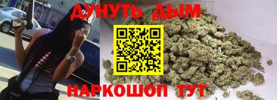 шишки Дубна