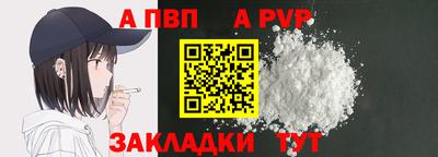 шишки Дубна