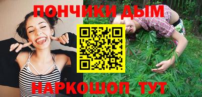 шишки Дубна