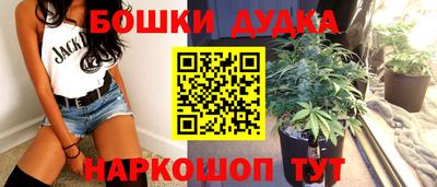 шишки Дубна