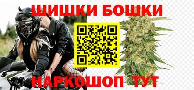 шишки Дубна