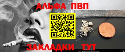 шишки Дубна