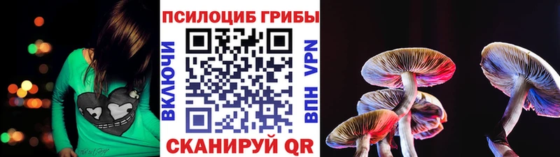 Псилоцибиновые грибы MAGIC MUSHROOMS дарнет шоп Назрань