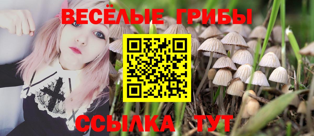 Галлюциногенные грибы мицелий Назрань