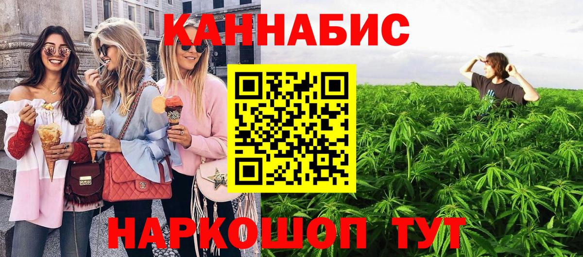 Шишки марихуана план Назрань